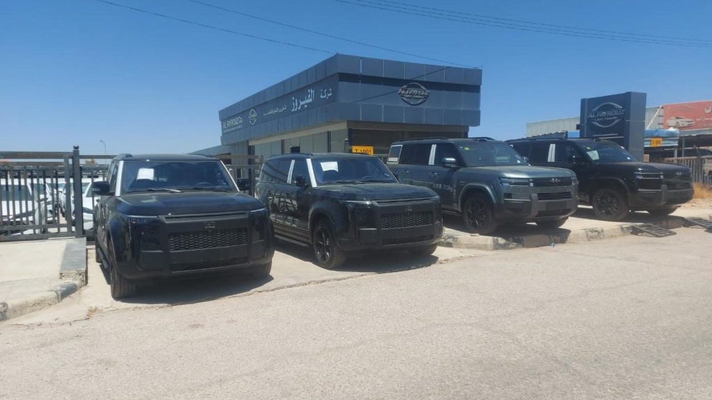 Denza SUVs in front of the showroom